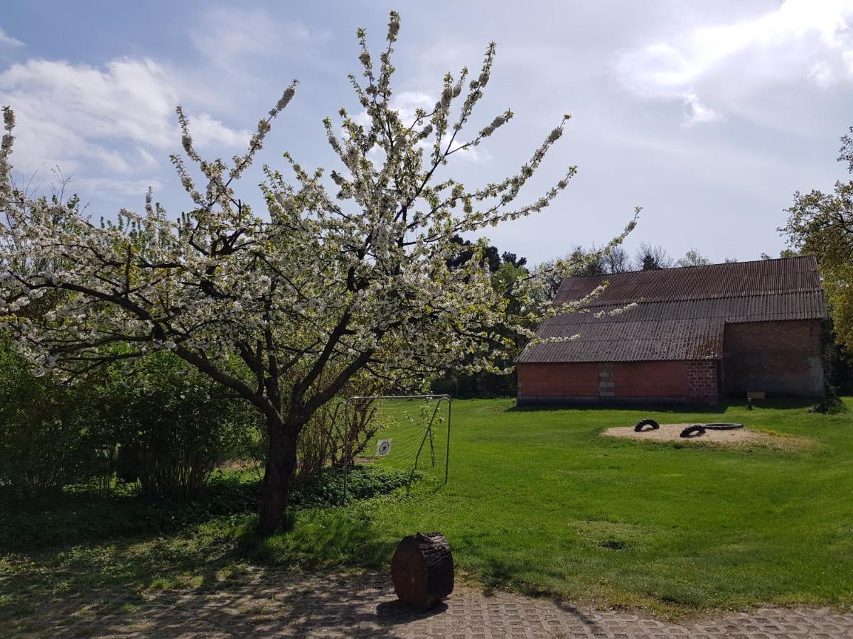 Pension New Nomads Zesch Esterno foto