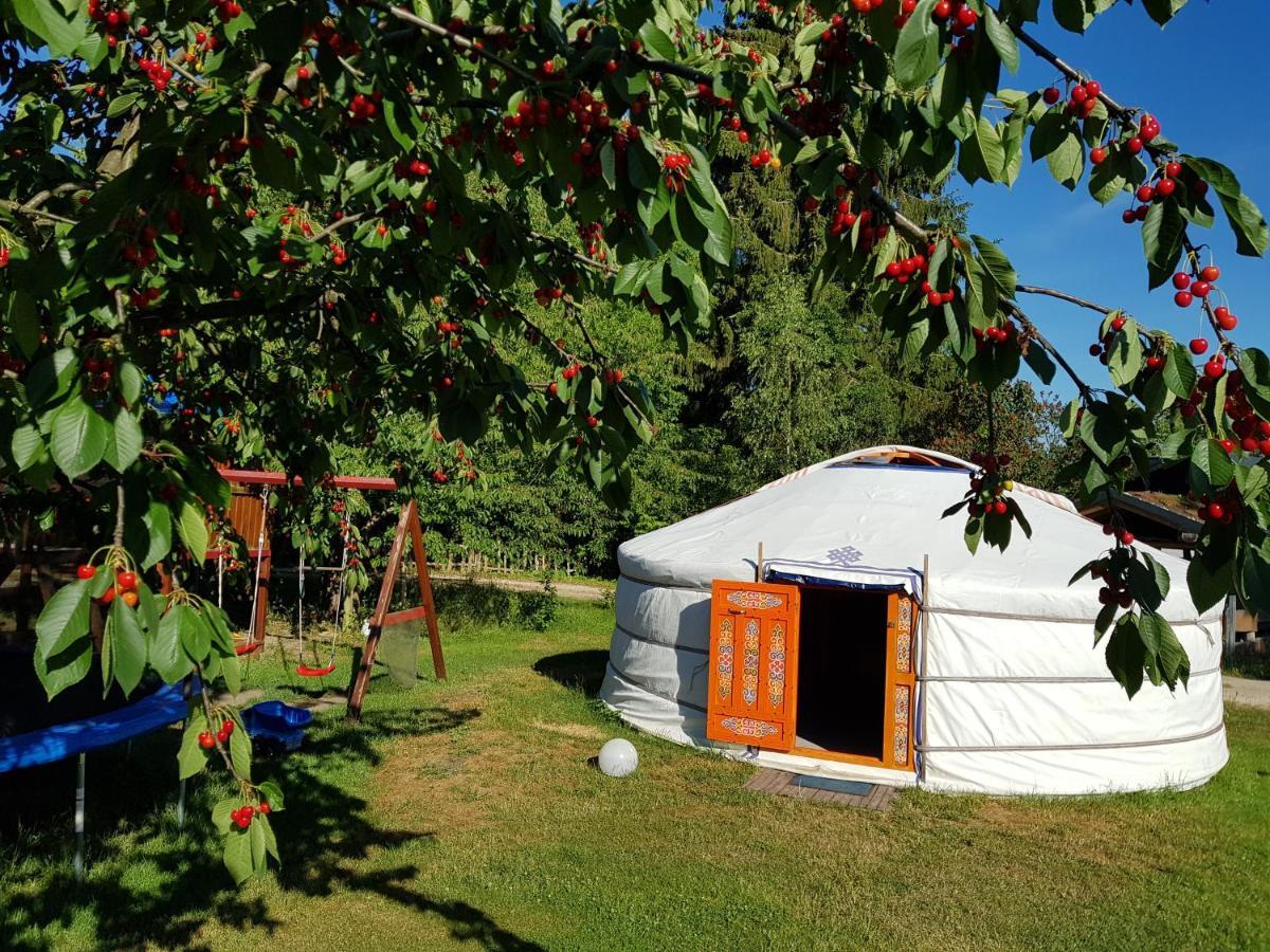 Pension New Nomads Zesch Esterno foto